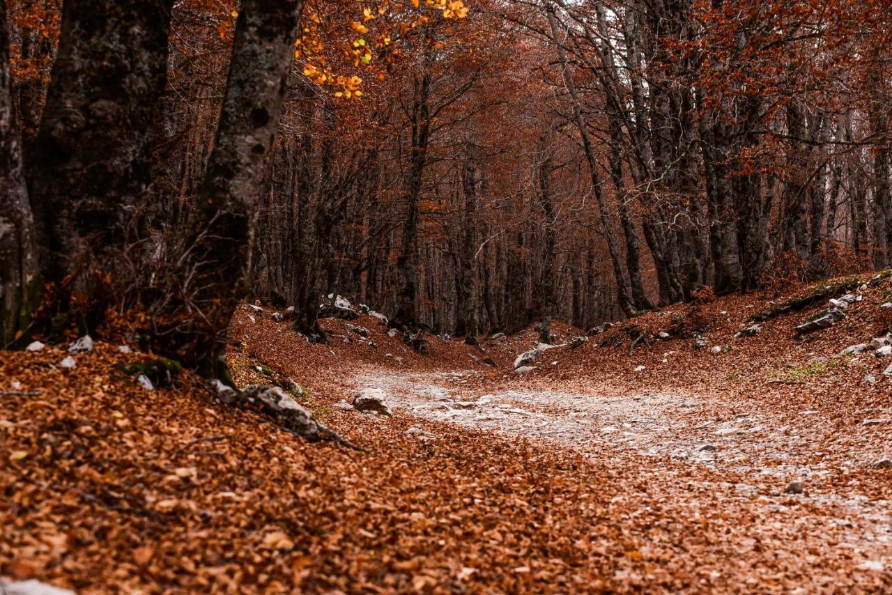 Appartamento A Campo Felice - Treeffe Collimento Bagian luar foto