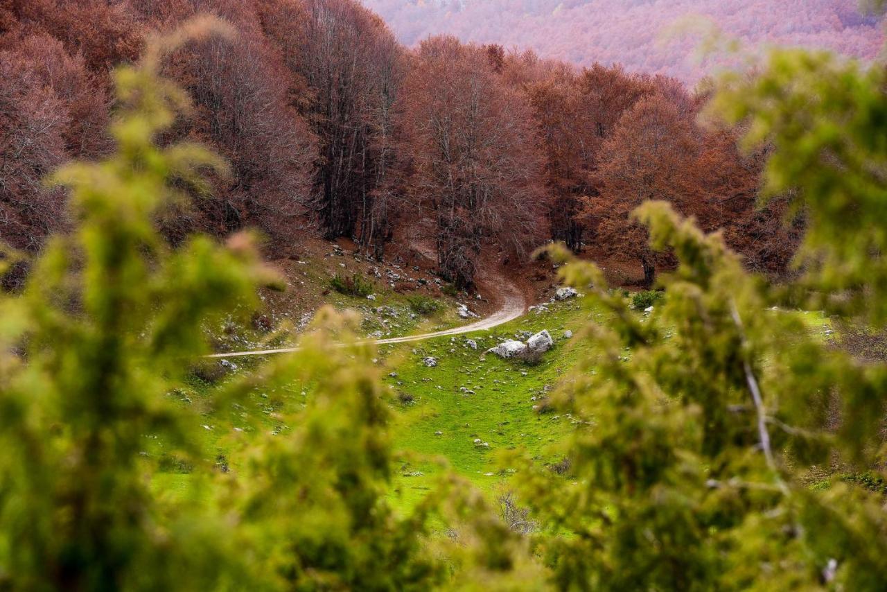 Appartamento A Campo Felice - Treeffe Collimento Bagian luar foto